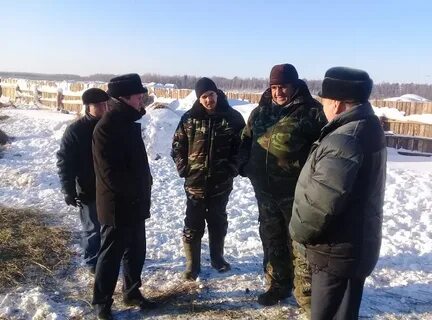 Погода пиляндыш