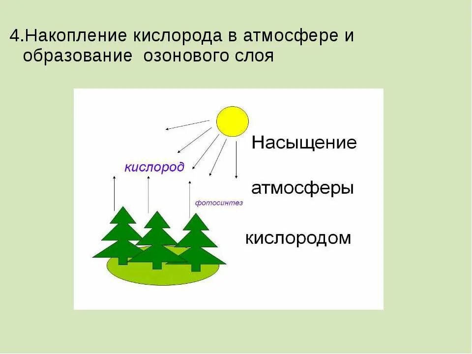 Накопление кислорода в атмосфере. Накопление кислорода в атмосфере схема. Космическая роль растений. Иллюстрация накопления кислорода в атмосфере. Важную роль накопления кислорода в атмосфере играют