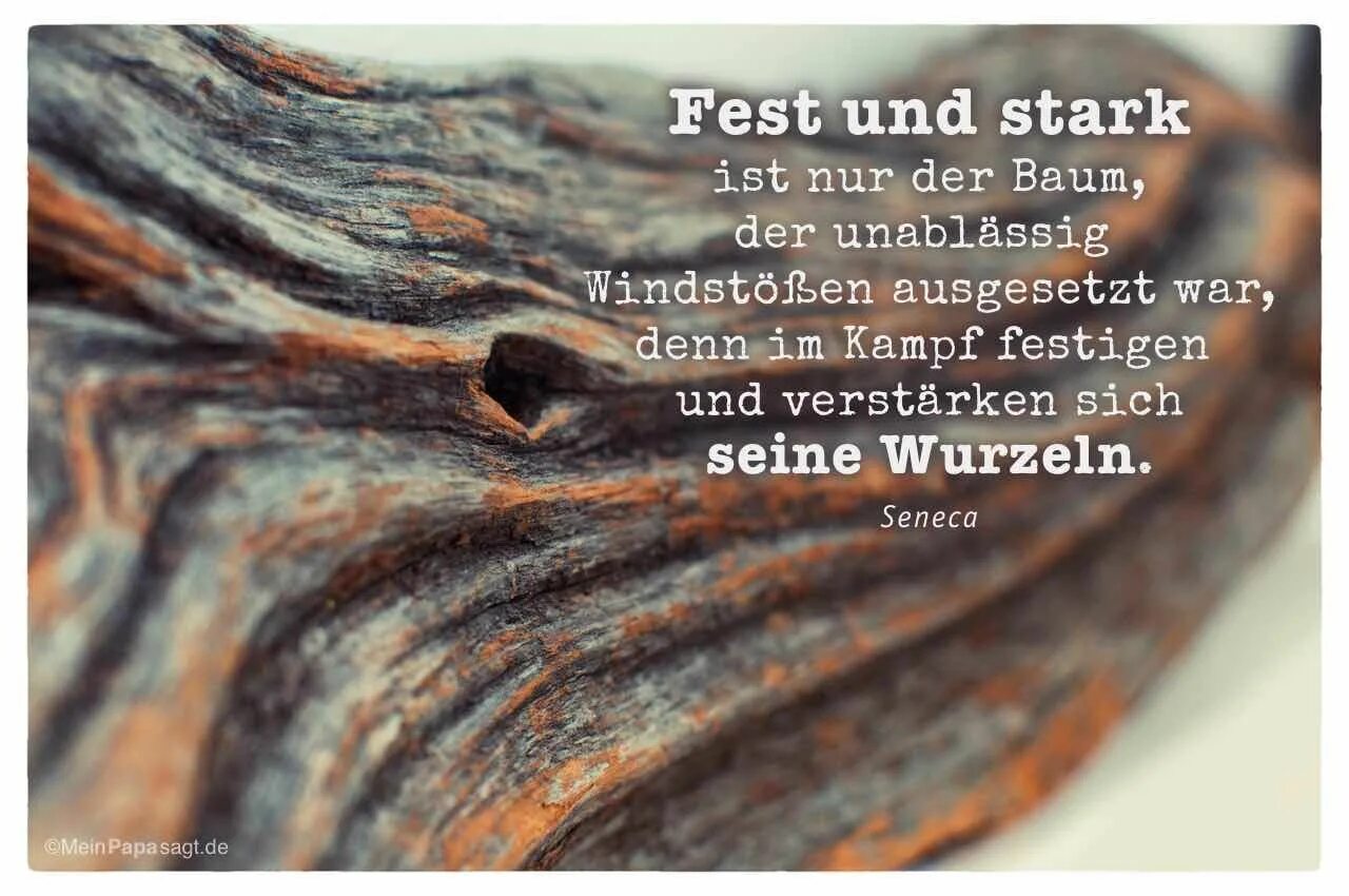 Nur der. Nur der