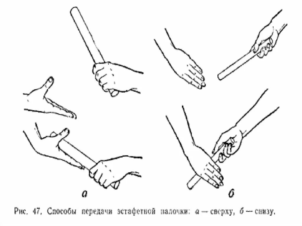 Эстафетный бег передача эстафетной палочки. Эстафетный бег. Техника передачи палочки.. Этапы передачи эстафетной палочки. Техника эстафетного бега передача эстафетной палочки. Техника передачи эстафетной палочки в легкой атлетике.