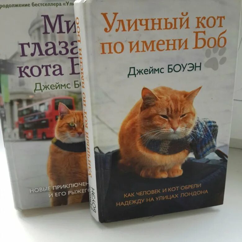 Книга про боба. Кот по имени Боб книга. Уличный кот по кличке Боб книга. Кот по имени Боб купить. Уличный кот по имени Боб фото книги.