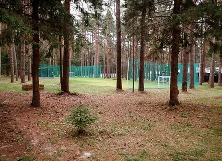 Отдых черепашьи озера нижегородская область