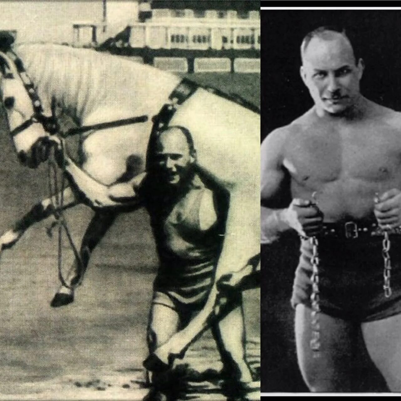 Александр засс самсон. Александр засс железный. Человек поднял лошадь. Человек поднял лошадь. Александр заас.