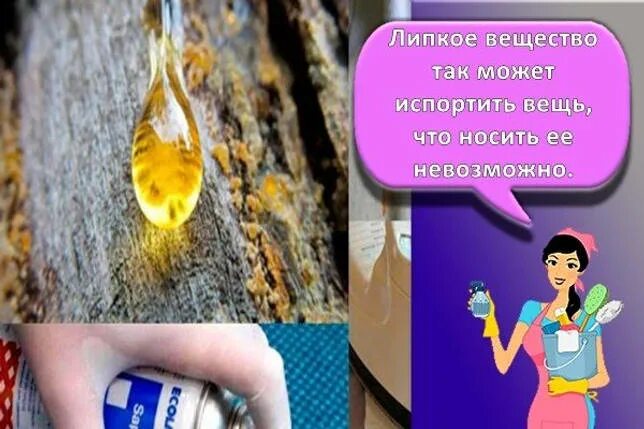 Сосновую смолу с одежды. Липкое вещество. самое липкое вещество в мире. смола от дерева на одежде. как отстирать смолу от сосны с одежды в домашних условиях.