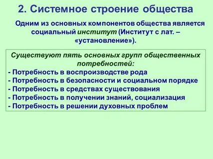 Общество и элементы общественной жизни