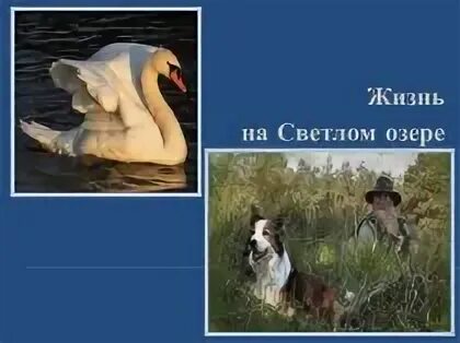 Герои произведения приемыш. Приёмыш мамин Сибиряк герои. Приёмыш мамин Сибиряк план. Презентация приемыш. План приёмыш 4 класс мамин Сибиряк.