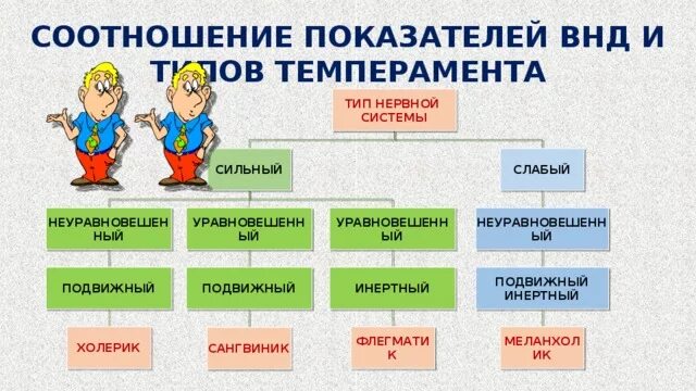 Соотнесите типы темперамента. Типы темперамента. соотношение типов внд и темперамента. тип темперамента и профессия. профессии по темпераменту.