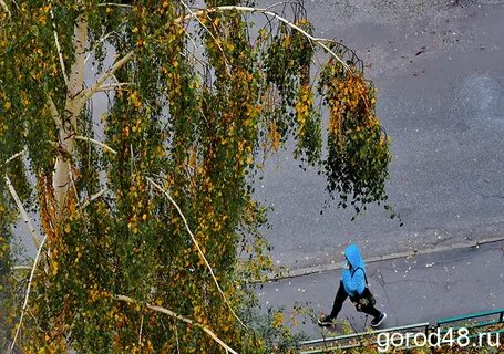 День выдался ветреным