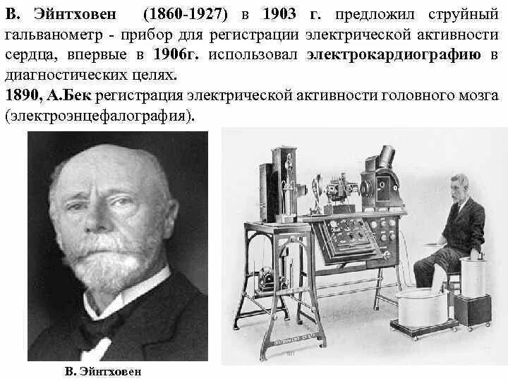 Виллем эйнтховен вклад в медицину. Виллем эйнтховен вклад в медицину