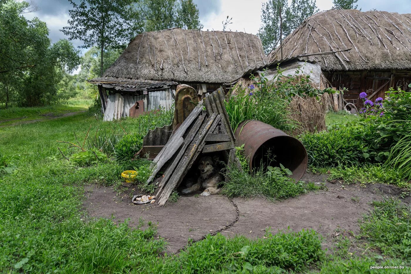 Где жить в белоруссии. Кудричи деревня. Деревня топи деревня. Белорусская деревня. Болотная деревня.