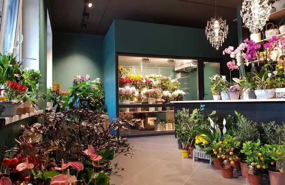 Цветочные магазины нея. Интерьер цветочного магазина. Цветочный салон. Красивый магазин цветов. Стильный интерьер цветочного магазина.