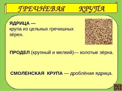 Гречка и ядрица разница