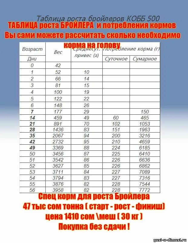 Таблица роста кобба 500 по дням. Таблица корма для бройлеров Кобб 500. Расход комбикорма для бройлеров таблица. Таблица расхода кормов для бройлеров. Бройлеры таблица потребления корма в сутки.