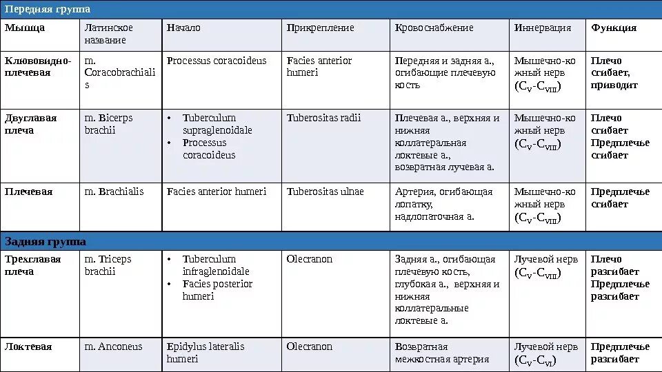 Мышцы верхних конечностей анатомия таблица. Функции мышц нижних конечностей таблица. Мышцы предплечья таблица. Мышцы предплечья функции таблица. Повышенная чувствительность латынь