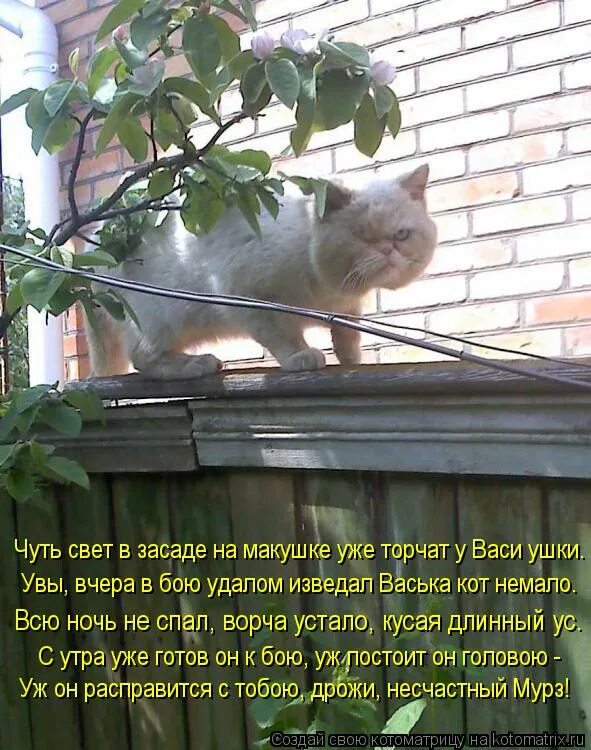 буду под окном. буду под окном. человек на подоконнике. буду под окном. буду под окном.