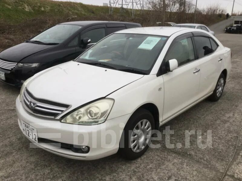 Красноярск продают toyota allion 2. Тойота аллион zzt240. Премио 2003 год. Zzt250 allion. Тойота аллион zzt240.