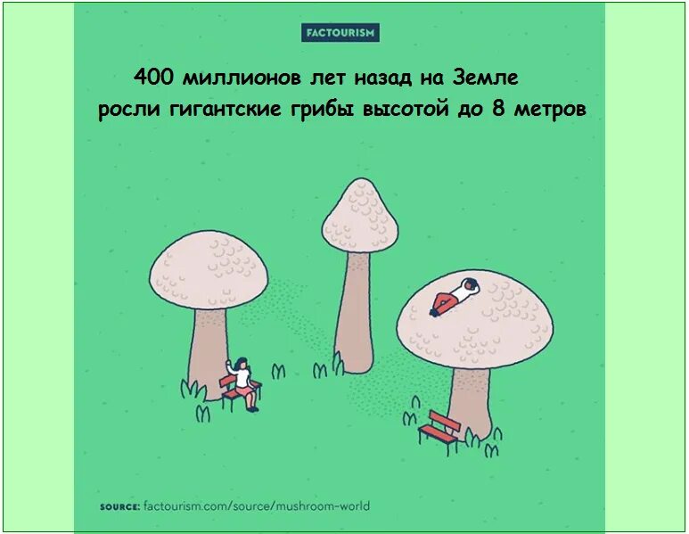 Собирают факты про. Бесполезные факты. бесполезные факты смешные. бесполезные познавательные факты. бесполезные факты обо всем.