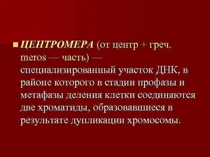 Центромера