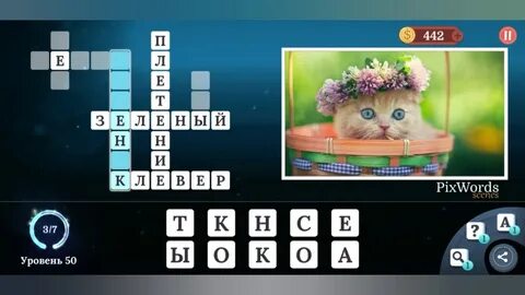 Игра в одноклассниках пиксвордс все уровни