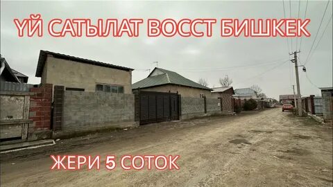 Елка в бишкеке 2023