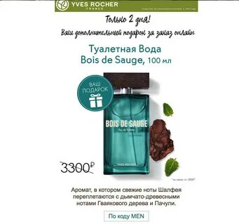 Ив роше описание