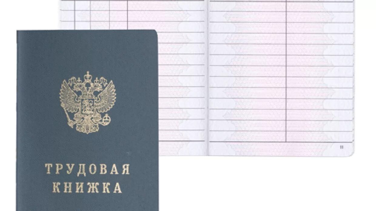 Трудовая книжка самостоятельно – Telegraph