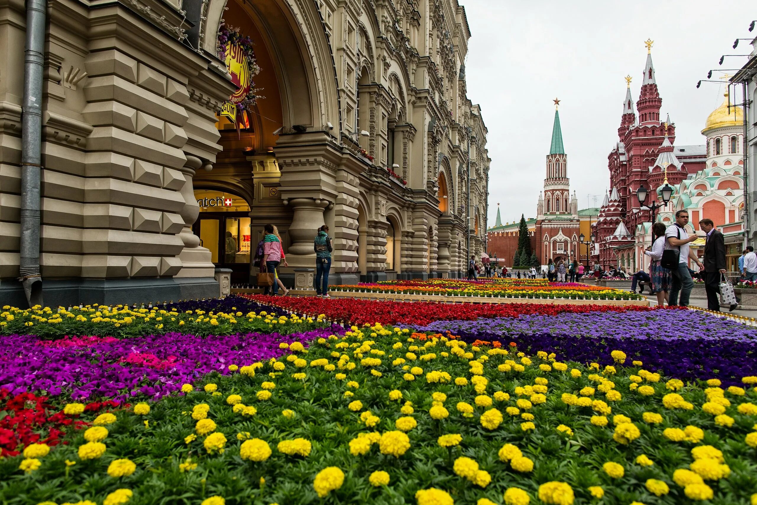 Лето в москве цветы