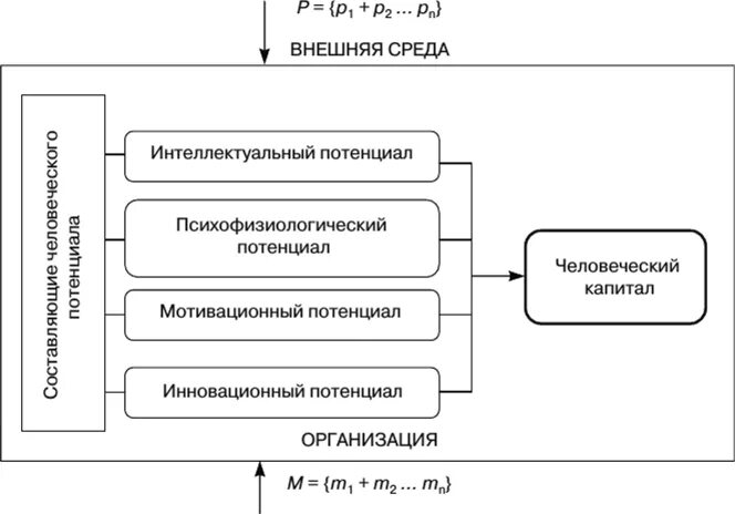 Взаимосвязь человеческого потенциала и человеческого капитала. Человеческий потенциал и человеческий капитал. Качество человеческого капитала. Процесс формирования человеческого капитала.