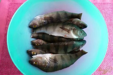 Речной окунь чешуя