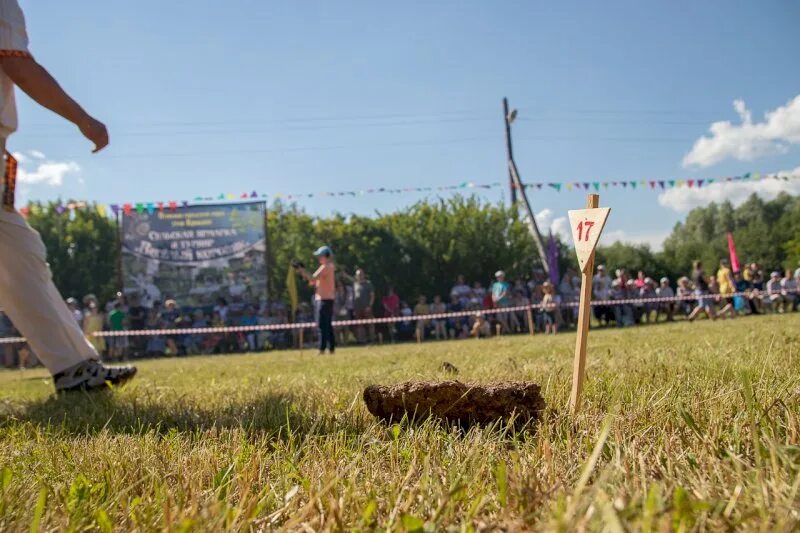 Чемпионат по метанию коровьих. Метание коровьих лепешек. Метание какашек Пермский край. Метание коровьих лепешек в Перми. Чемпионат по метанию