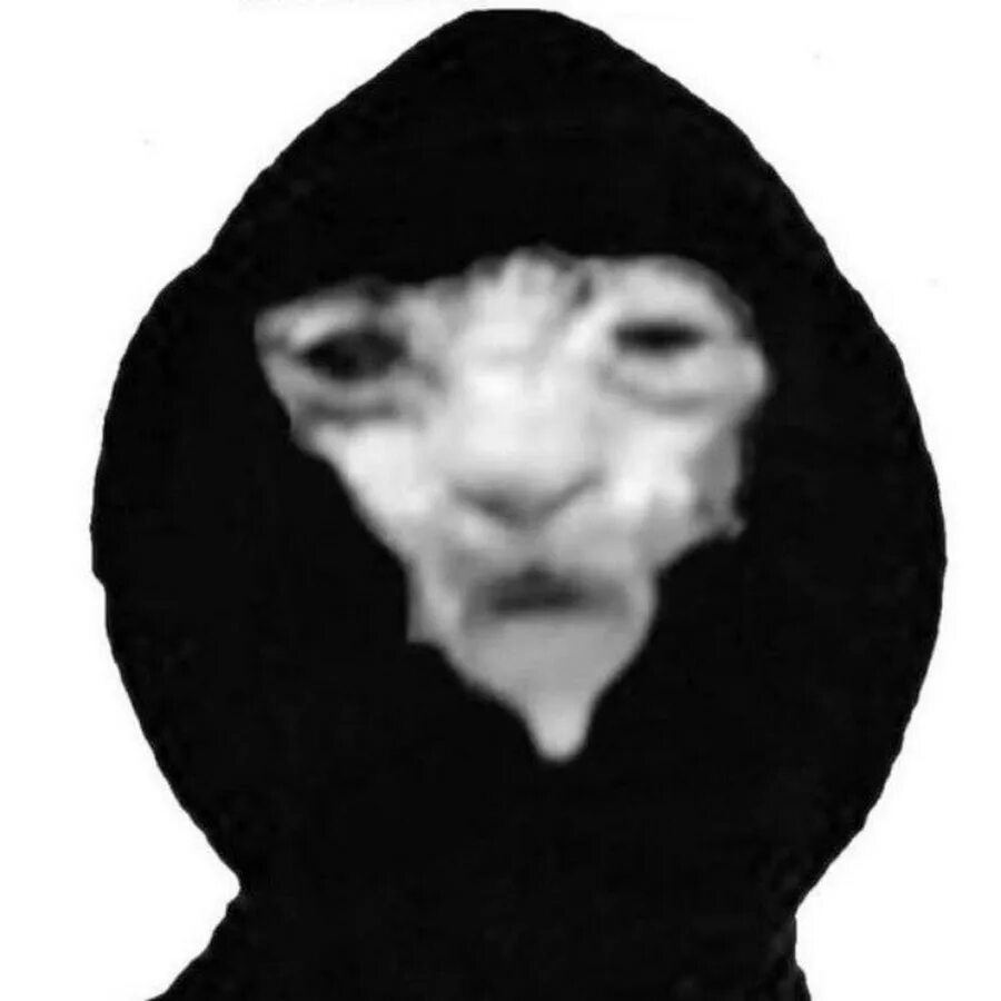 Выгу выгу выгу. Выгу выгу. выгу выгу выгу мем. персонаж выгу выгу. ава гуленыш.
