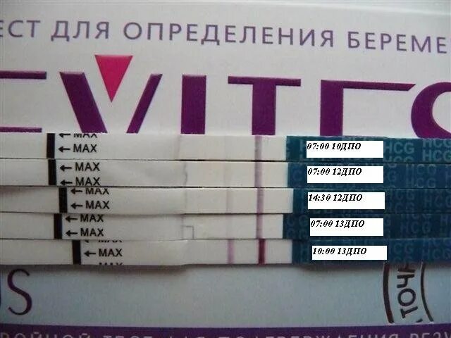 Может ли показывать. Тест на беременность по моче. На какой день после овуляции тест покажет беременность. Утренний тест на беременность. Тест на беременность вечером.