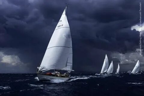 Sail world