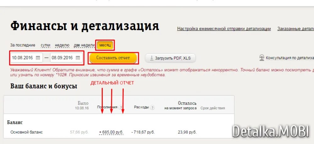 Можно ли получить детализацию. Детализация звонков билайн. распечатка звонков билайн. детализация оказанных услуг билайн. заказать детализацию звонков билайн.