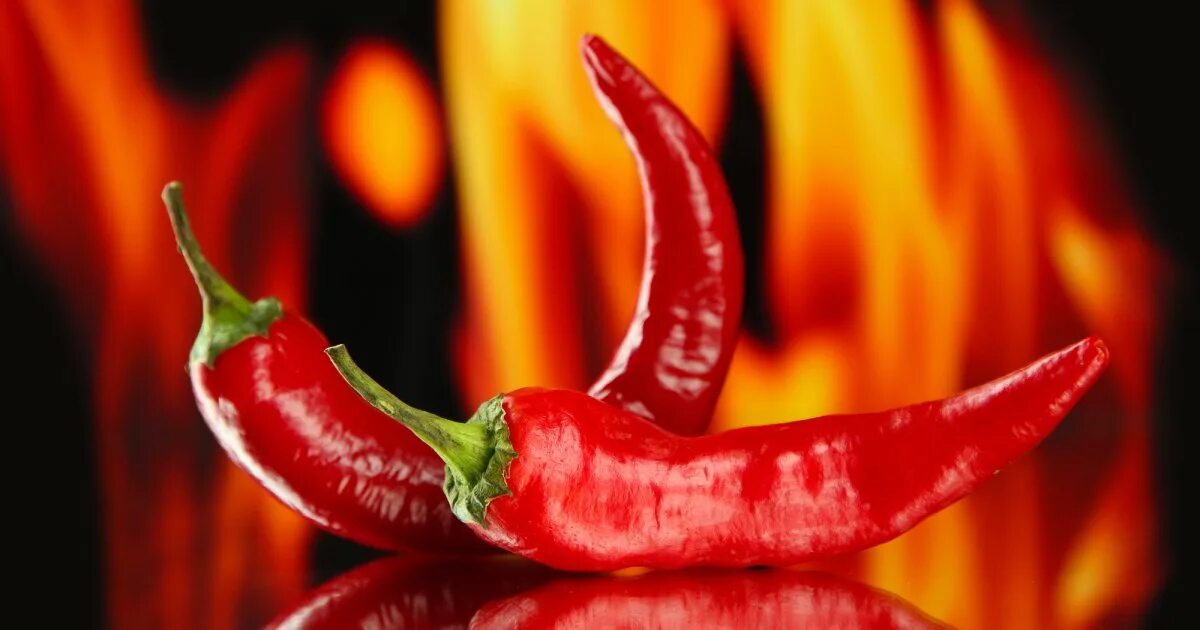 Перец чили на черном фоне. Красный острый перец чили. Перец жгучий красный. Огненный перец. Горячий перец.