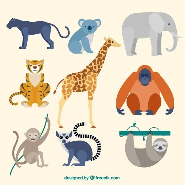 Animals designed. Векторные животные. Африканские животные вектор. Простые векторные животные. Векторная Графика животные.