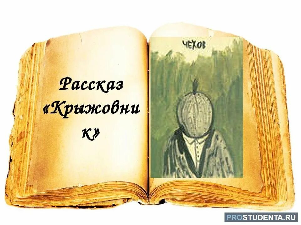 Чехов крыжовник счастье. Иллюстрации к рассказу чехова крыжовник. чехов крыжовник обложка книги.