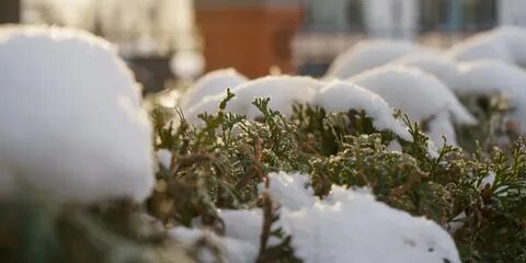 Местами небольшой снег