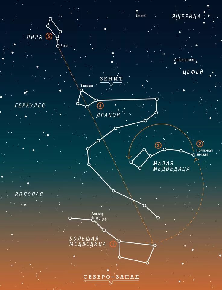 Знаки большой медведицы. Созвездие большой медведицы на карте звездного неба. Созвездие ковш малой медведицы. Малая Медведица на карте звездного неба. Звёзды ковша малой медведицы.