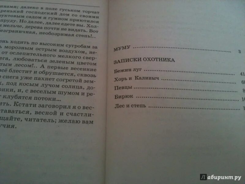 Тургенев сколько страниц. Содержание книги Записки охотника. Тургенев Муму читать сколько страниц. Записки охотника количество страниц.