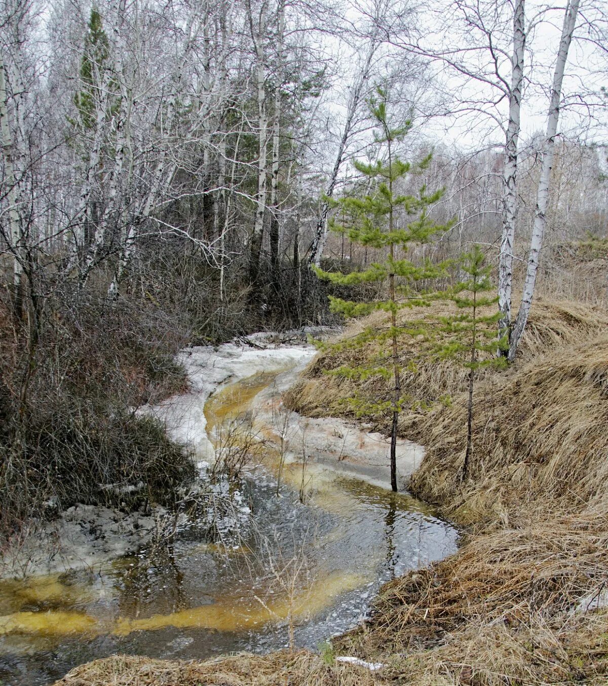 смоленский ручей. весенние ручьи. ручьи весной. весенний ручеек. весенние ручьи.
