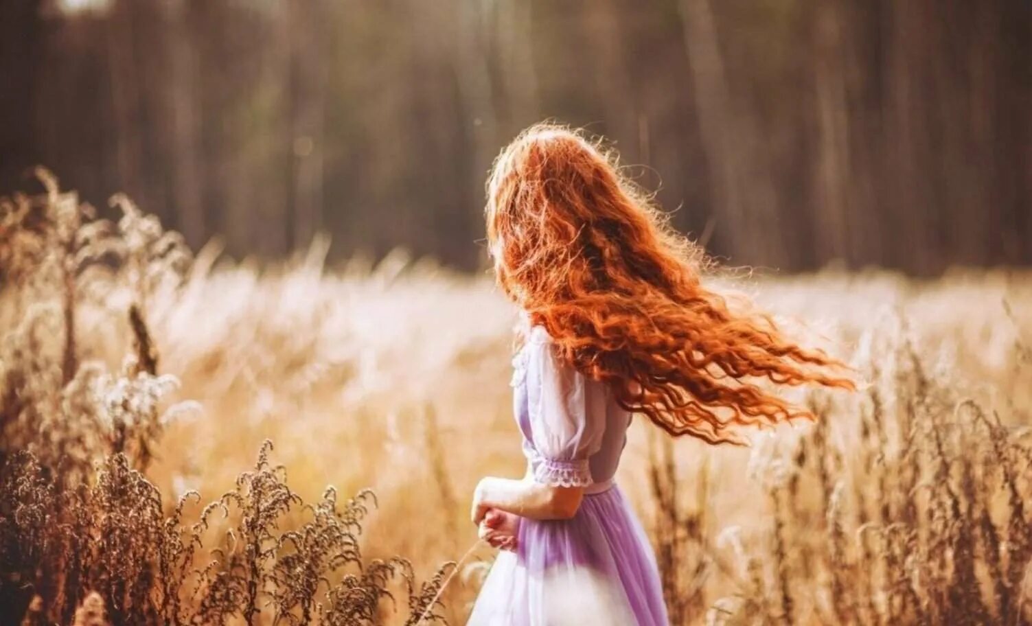 Маленькая худая рыжая. Девушка с рыжими волосами. Рыжие волосы со спины. Девочка с рыжими волосами. Девочка с рыжими волосами в поле.