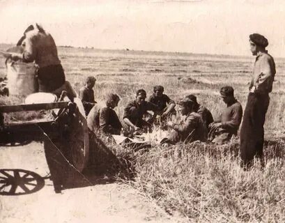 Алтайская целина