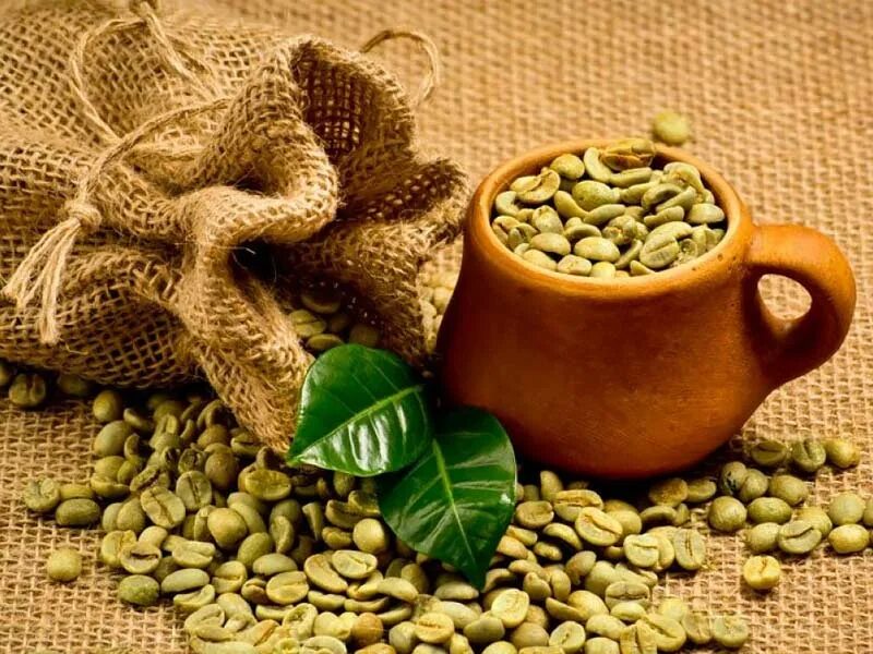День зеленого кофе. Зеленый кофе. Зеленый кофе в зернах. Кофеин в зеленом кофе. Green Coffee Bean.