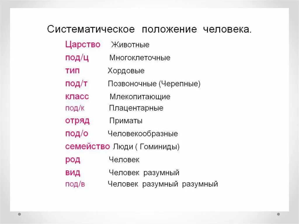 Определить систематическое положение человека. Систематическое положение человека разумного. Систематическое положение человека разумного 8 класс. Систематическое положение человека 8 класс таблица. Систематическое положение человека таблица 9 класс.