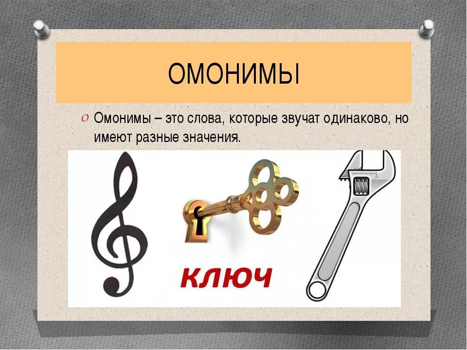 Что такое омонимы в русском 5 класс. Омонимы. слова омонимы. омонимы примеры. слова омонимы примеры.