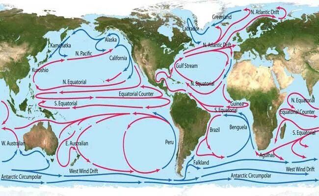 Калифорнийское течение холодное. Гольфстрим и Лабрадорское течение. Тёплое течение Гольфстрим на карте. Тёплое течение Гольфстрим.