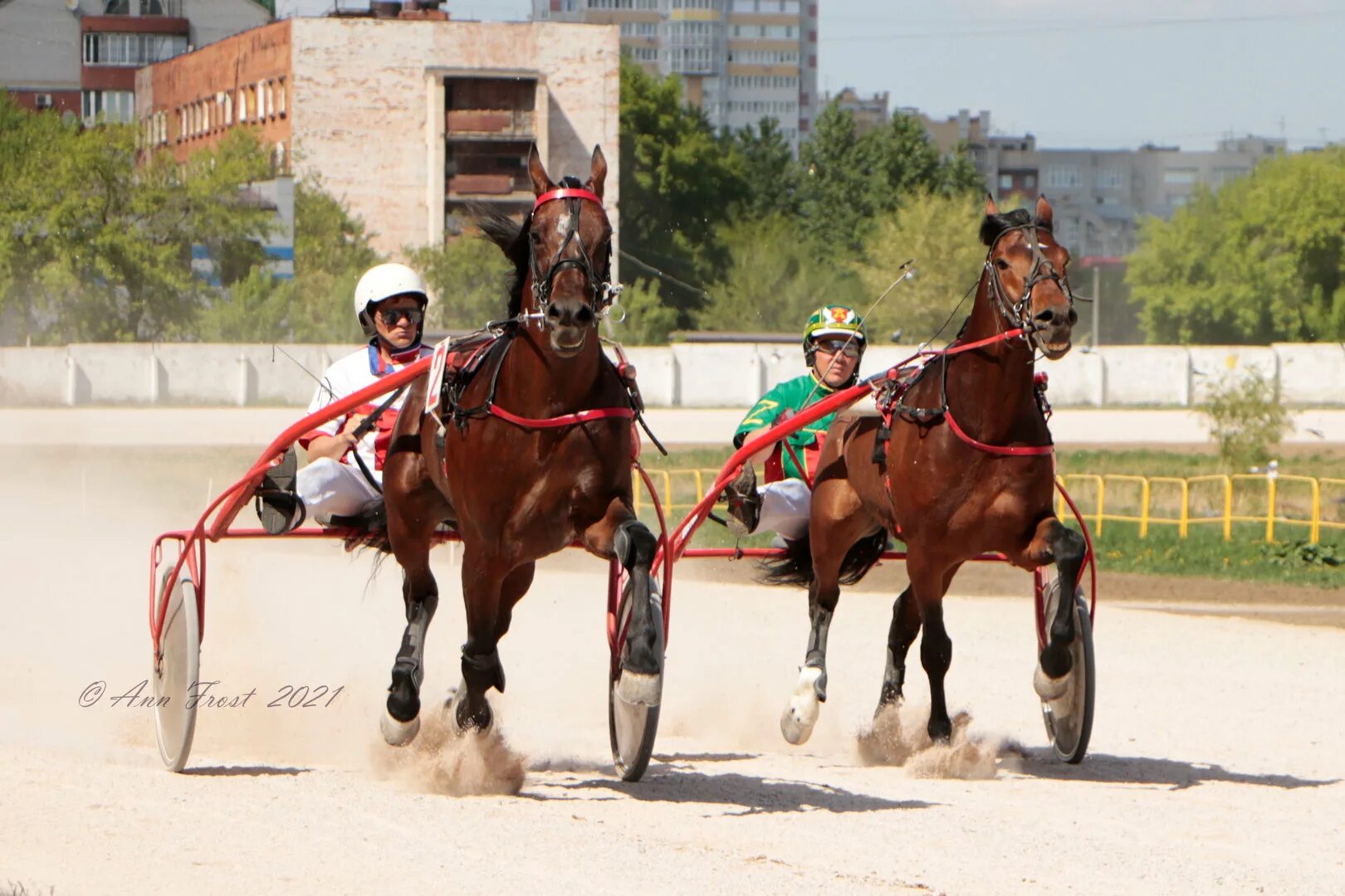 риттер игорь антонович оао конный завод имени первой конной армии. ход конем хабаровск. жокей клуб. ход конем хабаровск. конный спорт в геленджике.