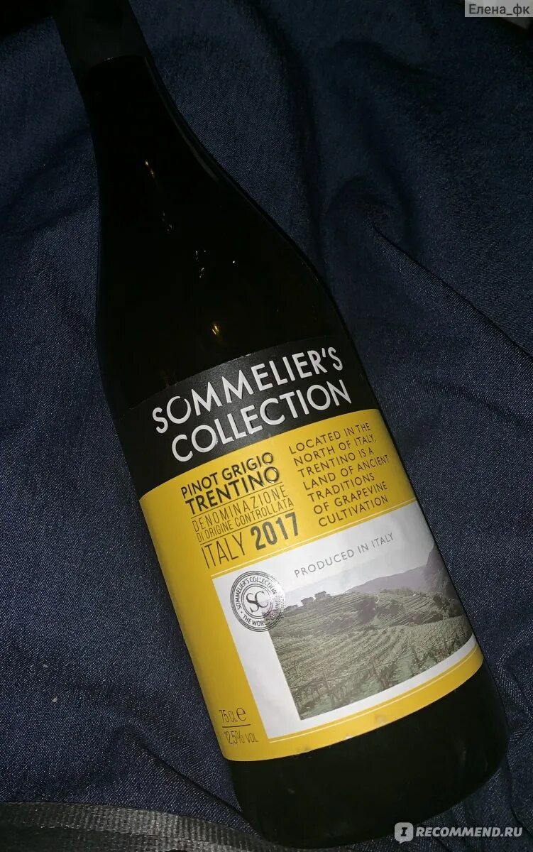 75л. Sommelier collection вино. Сомелье коллекшн. Zinfandel пятерочка. Сомелье коллекшн.