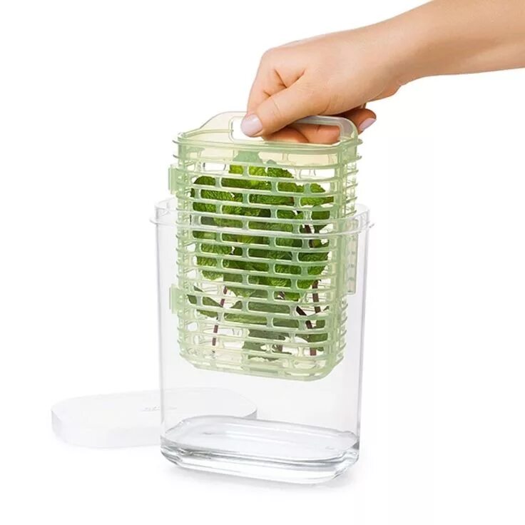 Емкость для зелени в холодильнике. Контейнер для зелени fresh herb keeper. oxo good grips greensaver. тапервер емкость для хранения зелени в холодильнике. тапер для хранения зелени.